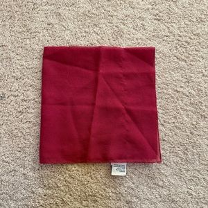 Gap Transparent Dark Rose Pink Scarf